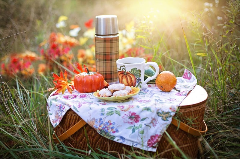 Outdoor Picnic